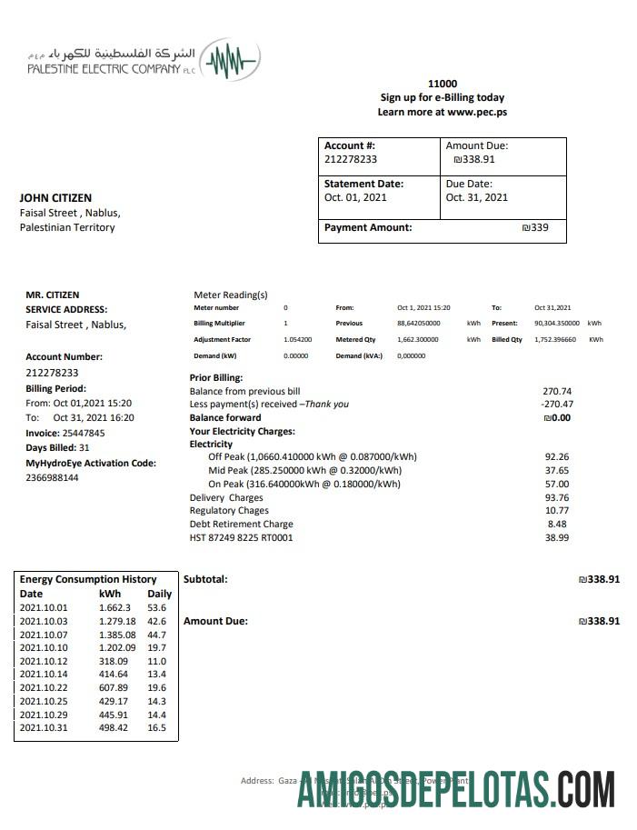 Em branco modelo de conta de serviços públicos da Palestina Electric Company (PEC) em formato Word e PDF